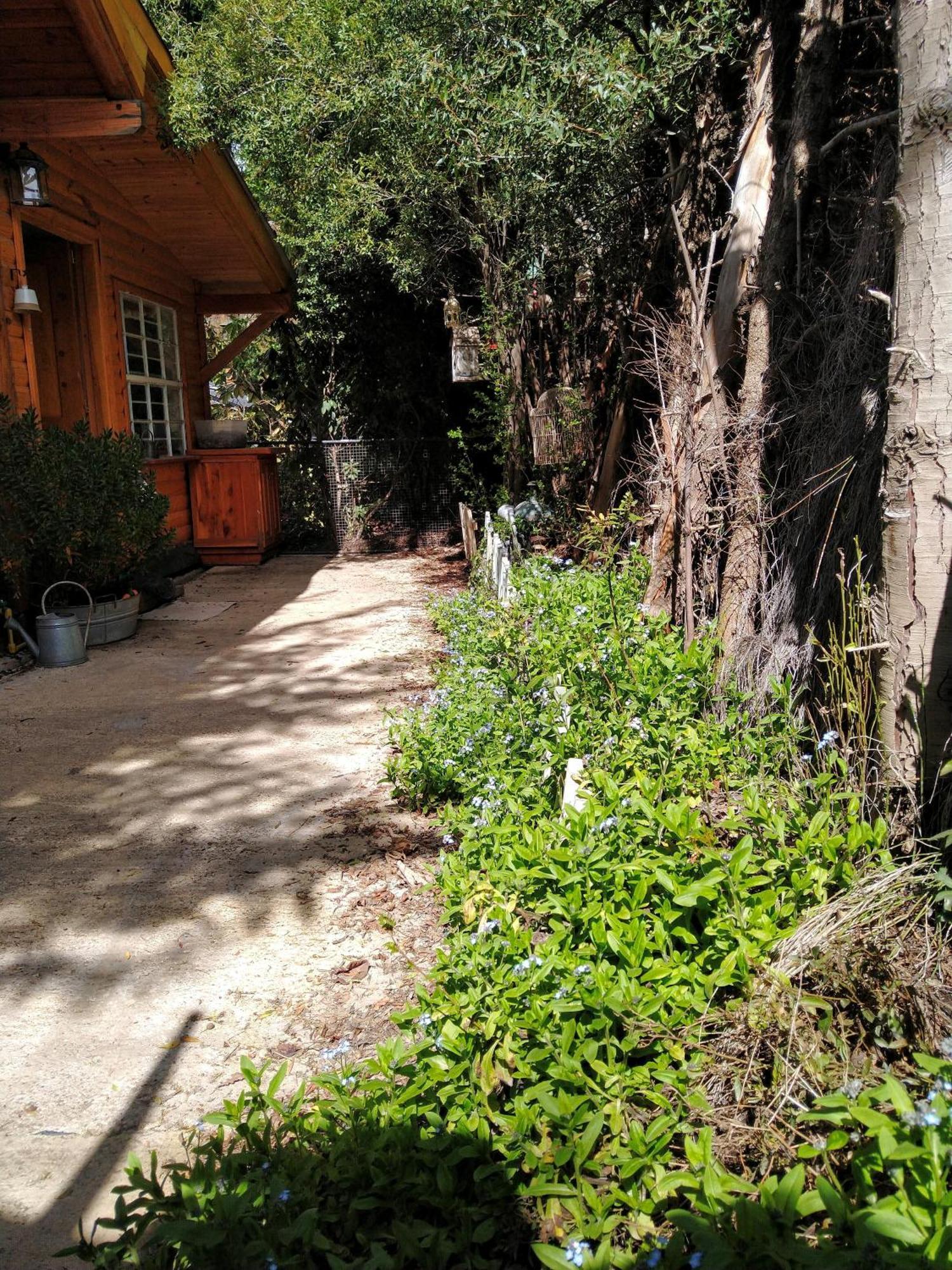 Apartamento La Carlina Casa De Montana *